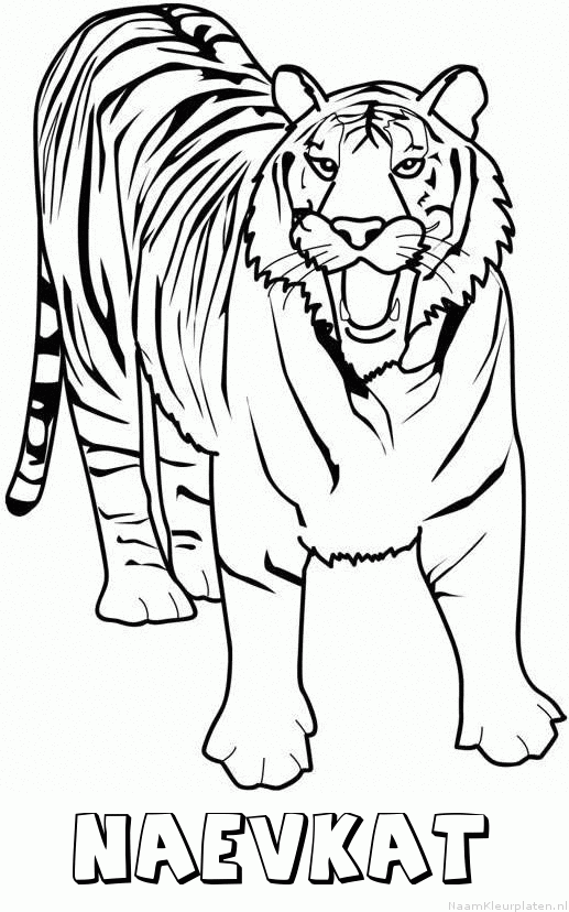Naevkat tijger 2 kleurplaat