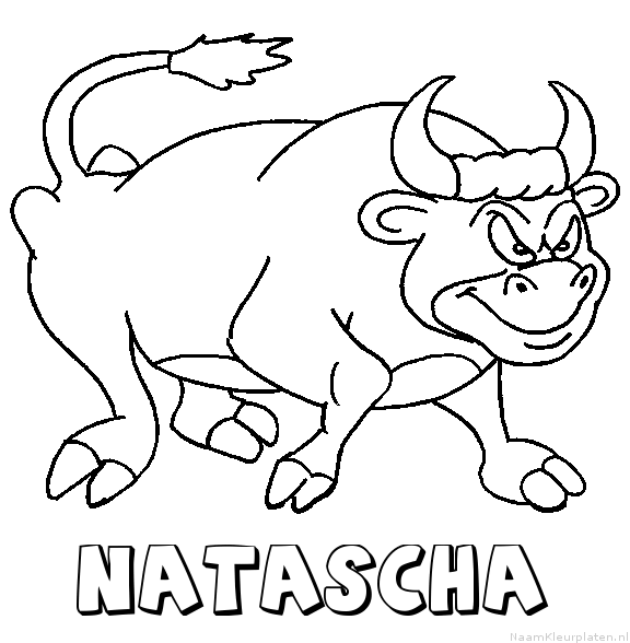 Natascha stier