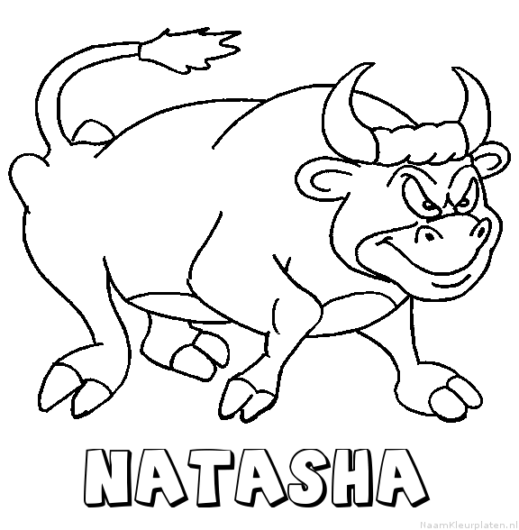 Natasha stier