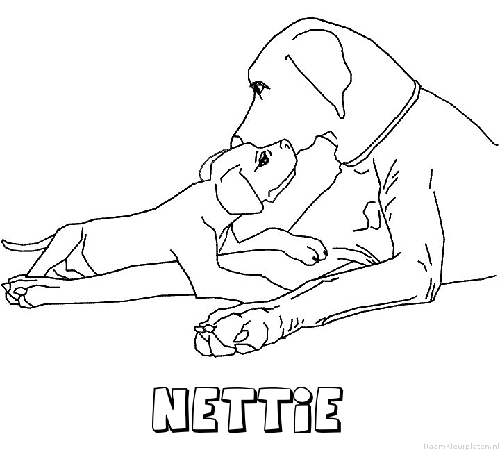 Nettie hond puppy