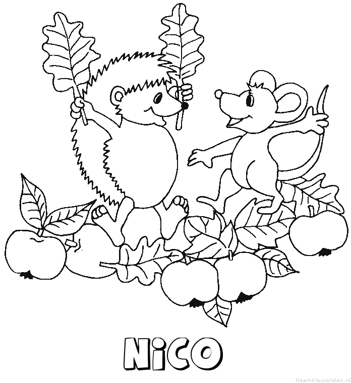 Nico egel kleurplaat