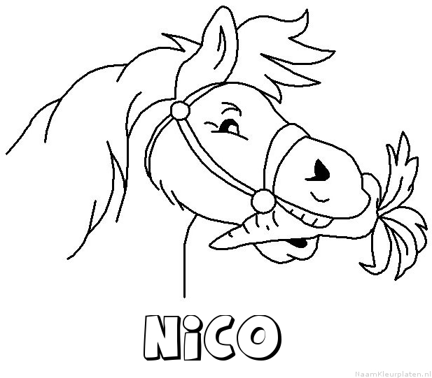 Nico paard van sinterklaas kleurplaat