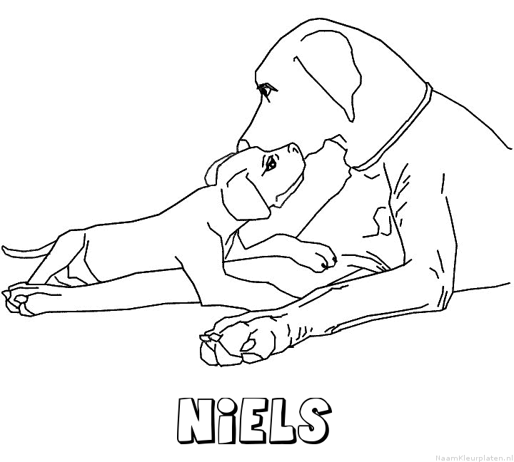 Niels hond puppy kleurplaat