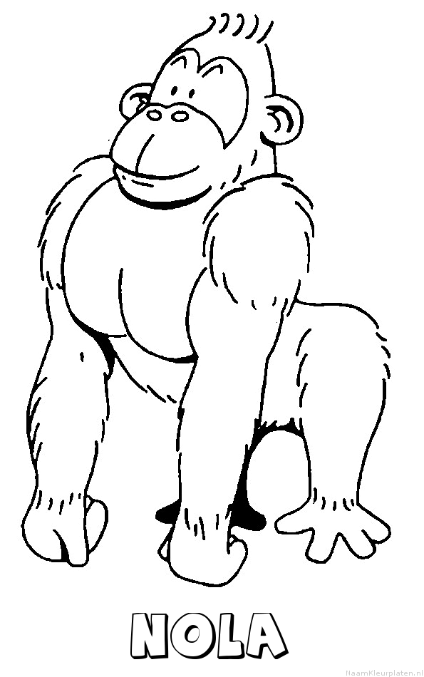 Nola aap gorilla