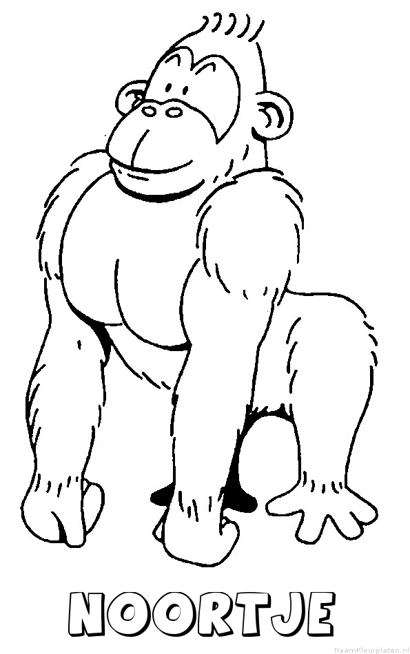 Noortje aap gorilla
