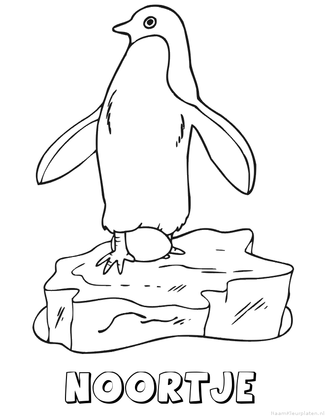 Noortje pinguin
