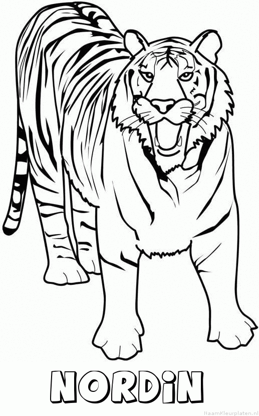 Nordin tijger 2 kleurplaat