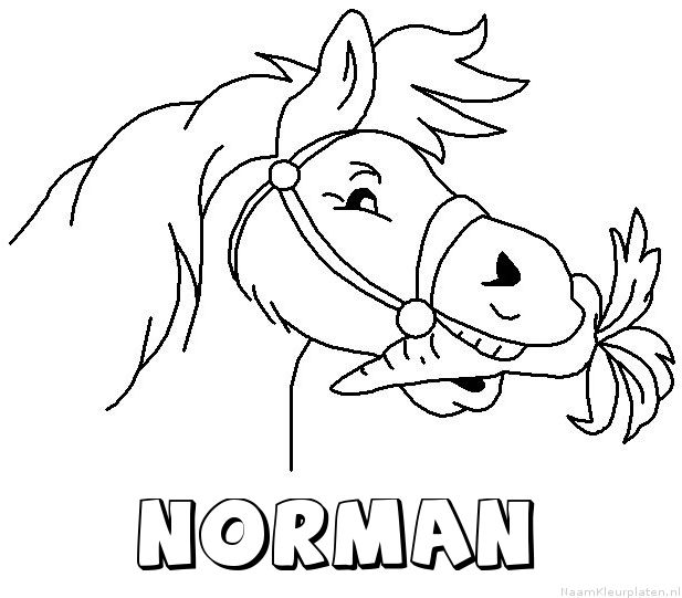 Norman paard van sinterklaas kleurplaat