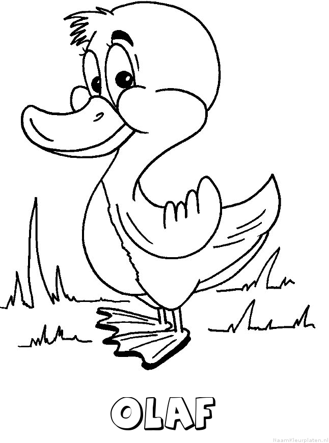 Olaf eend