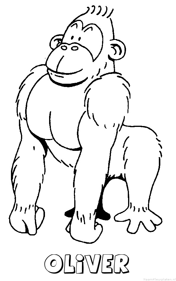 Oliver aap gorilla