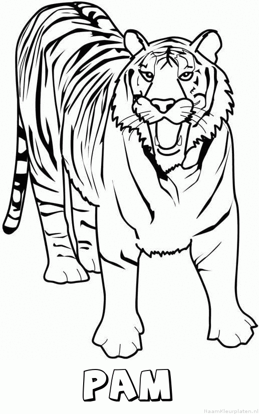 Pam tijger 2 kleurplaat