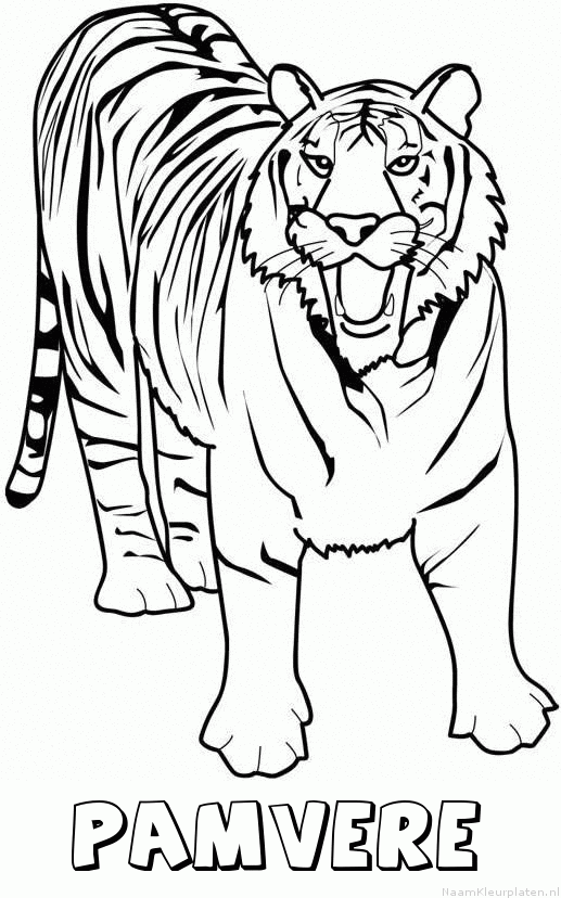 Pamvere tijger 2 kleurplaat