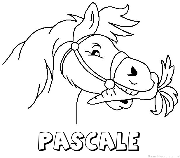 Pascale paard van sinterklaas