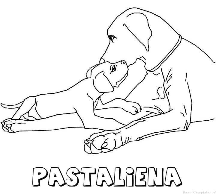 Pastaliena hond puppy kleurplaat