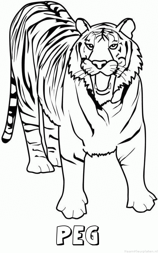 Peg tijger 2 kleurplaat