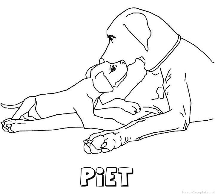 Piet hond puppy