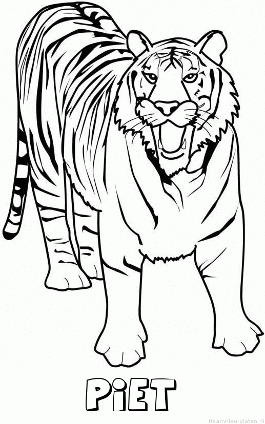 Piet tijger 2 kleurplaat