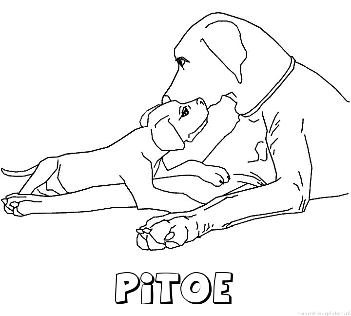 Pitoe hond puppy kleurplaat