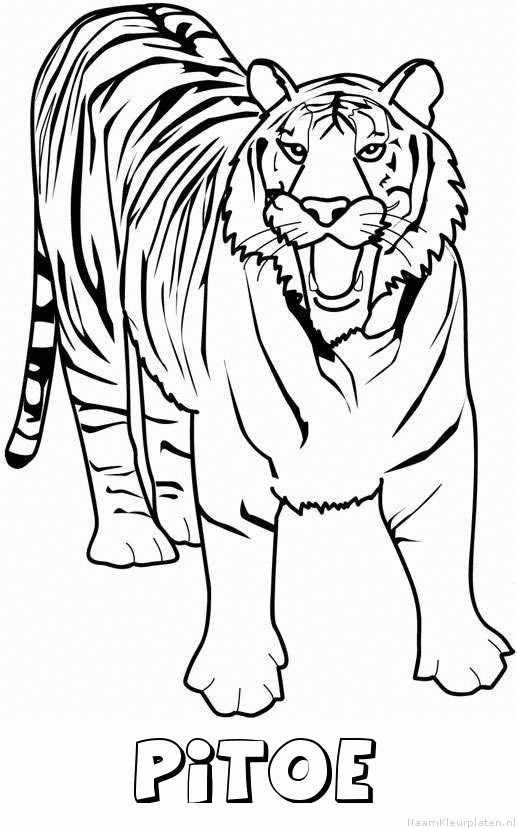 Pitoe tijger 2 kleurplaat
