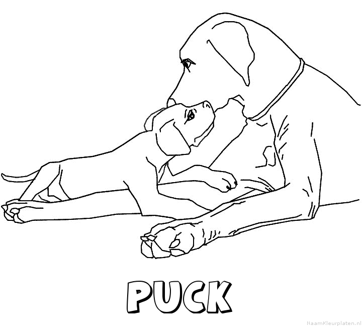 Puck hond puppy kleurplaat