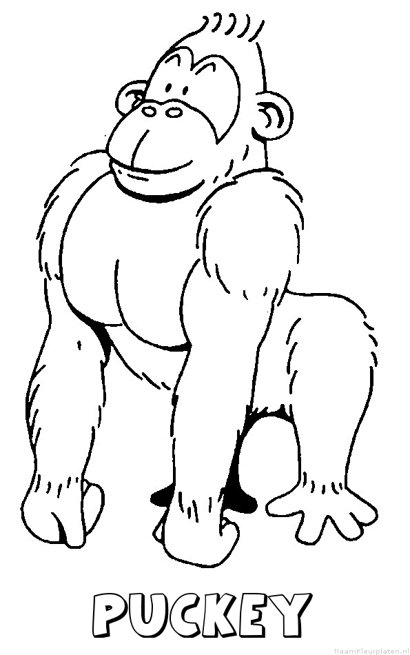 Puckey aap gorilla kleurplaat
