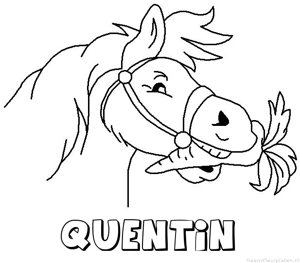 Quentin paard van sinterklaas kleurplaat
