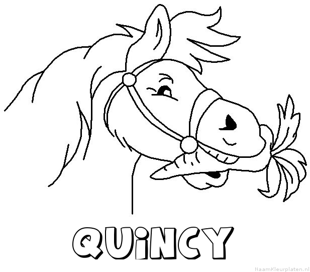 Quincy paard van sinterklaas kleurplaat