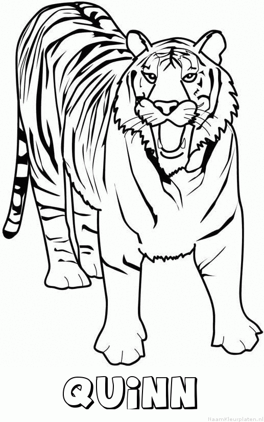 Quinn tijger 2 kleurplaat