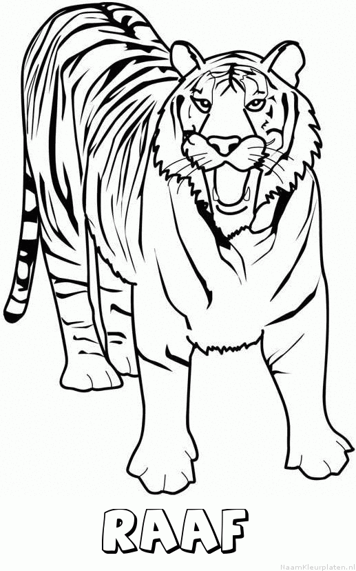 Raaf tijger 2 kleurplaat