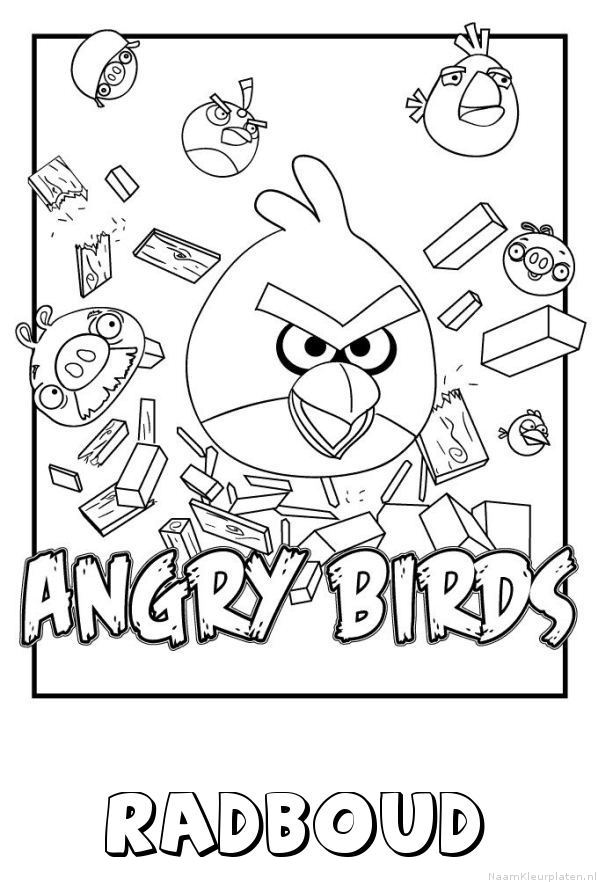 Radboud angry birds