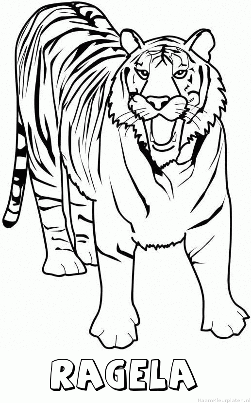 Ragela tijger 2 kleurplaat