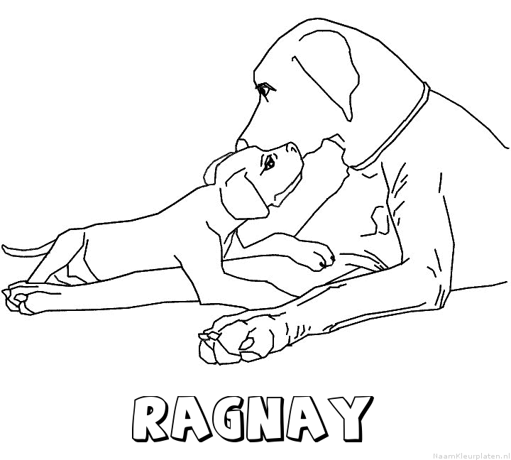 Ragnay hond puppy kleurplaat