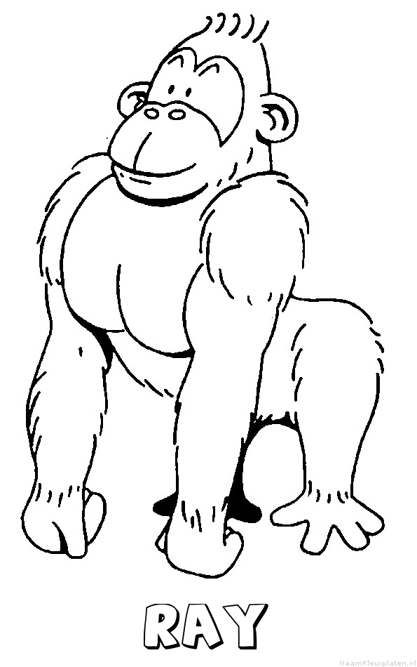 Ray aap gorilla