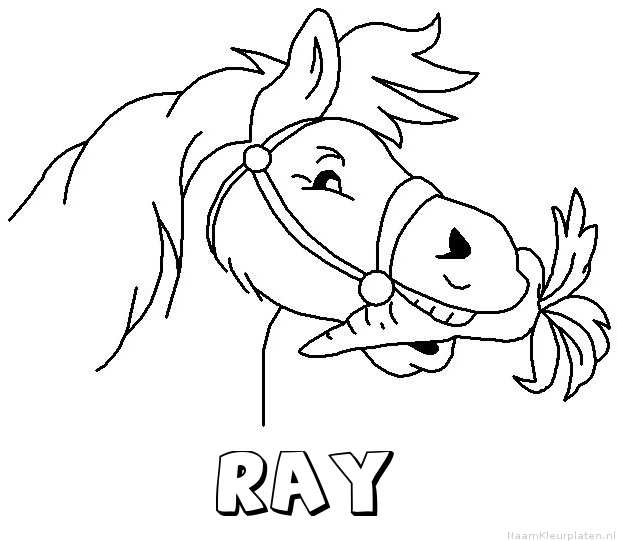 Ray paard van sinterklaas kleurplaat
