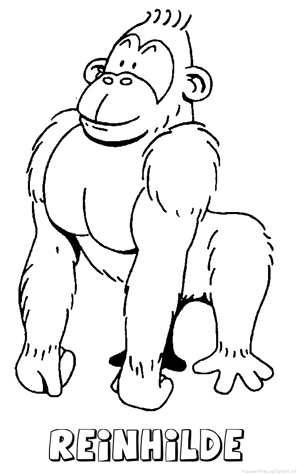 Reinhilde aap gorilla