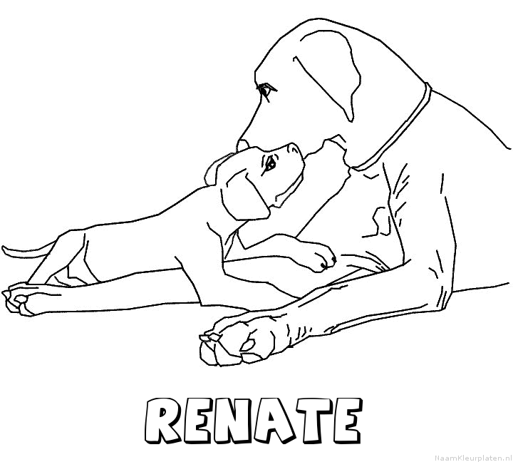 Renate hond puppy