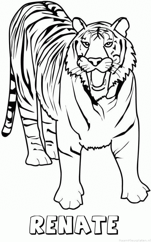 Renate tijger 2 kleurplaat