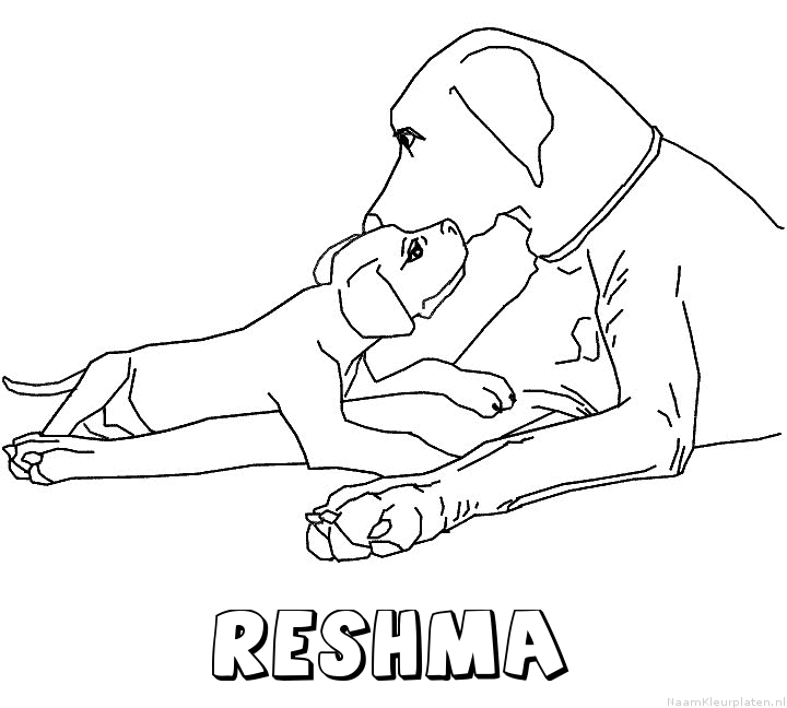 Reshma hond puppy kleurplaat