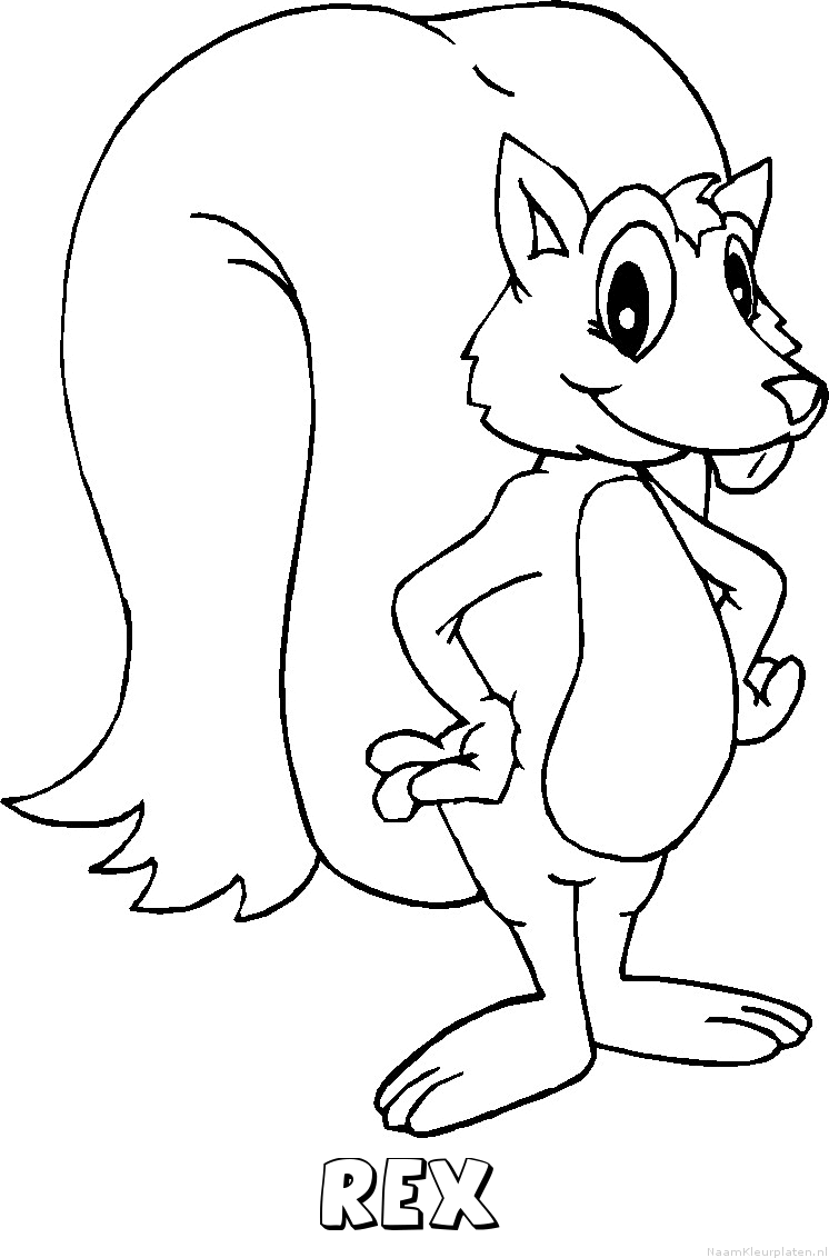 Rex eekhoorn kleurplaat