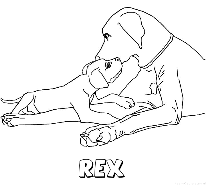 Rex hond puppy kleurplaat