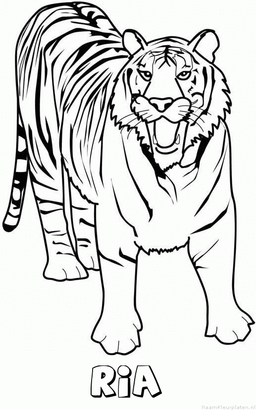 Ria tijger 2