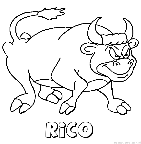 Rico stier