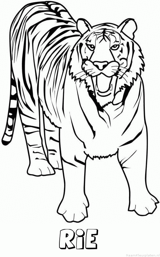 Rie tijger 2 kleurplaat