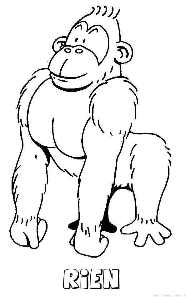 Rien aap gorilla