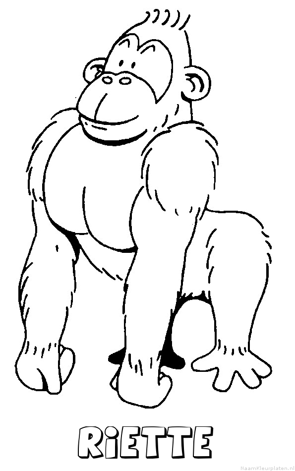 Riette aap gorilla