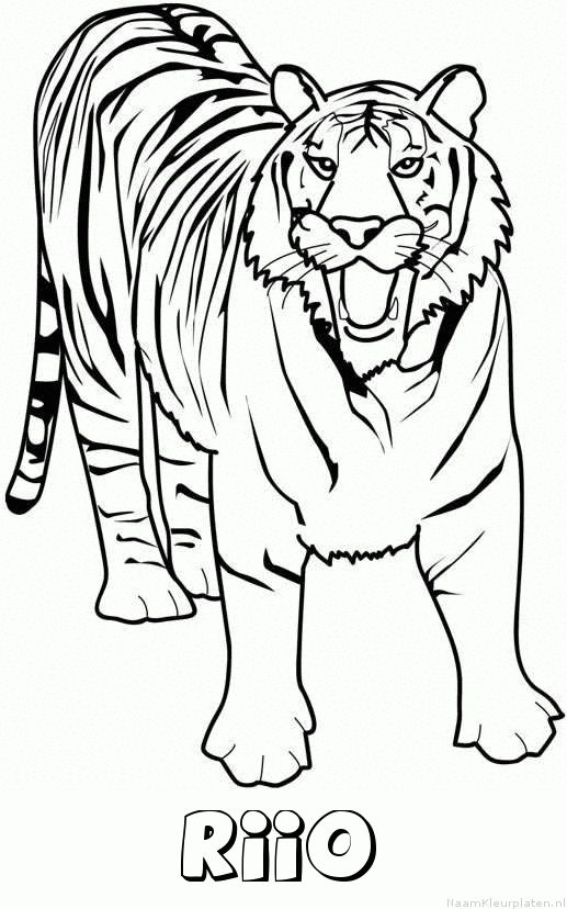 Riio tijger 2