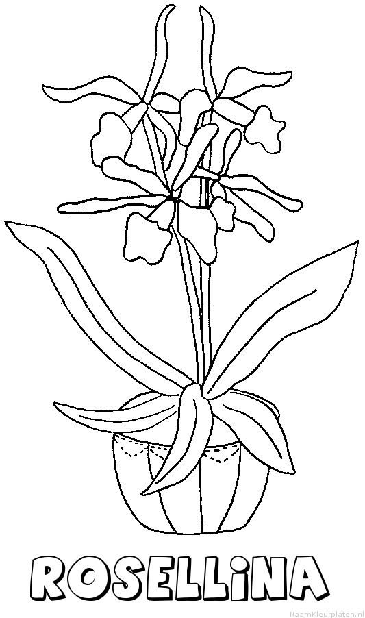 Rosellina bloemen kleurplaat