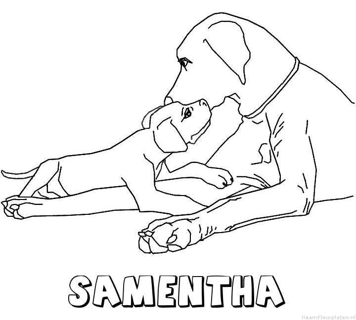 Samentha hond puppy