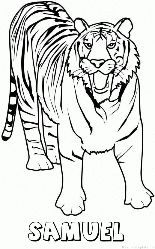 Samuel tijger 2 kleurplaat