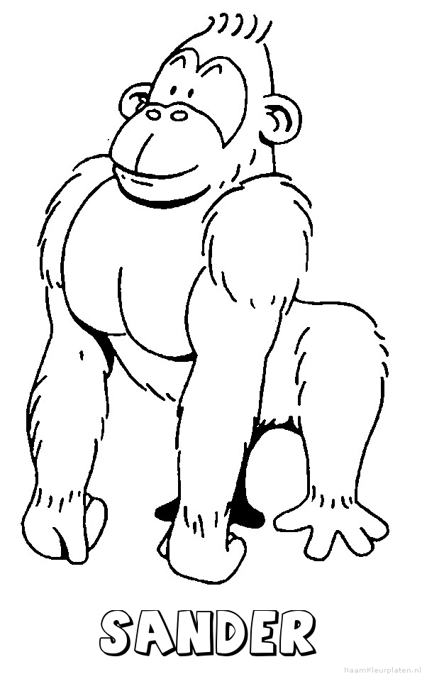Sander aap gorilla kleurplaat